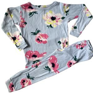 Baby Gap Spring Floral Pajama Set - Blue Pink - 3T